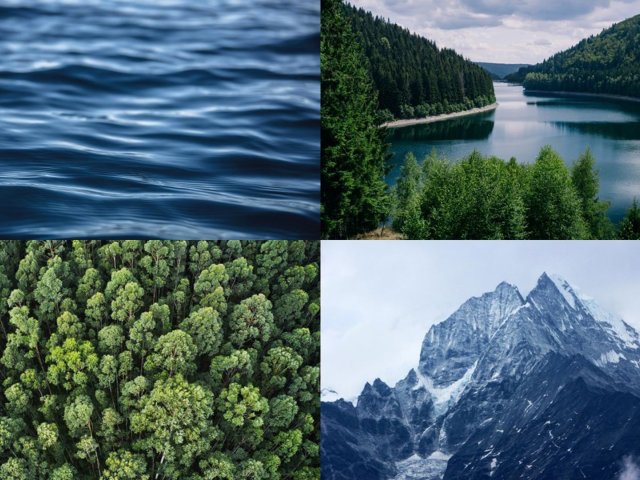 environment