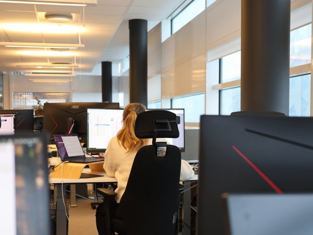 utviklingsrammeverk