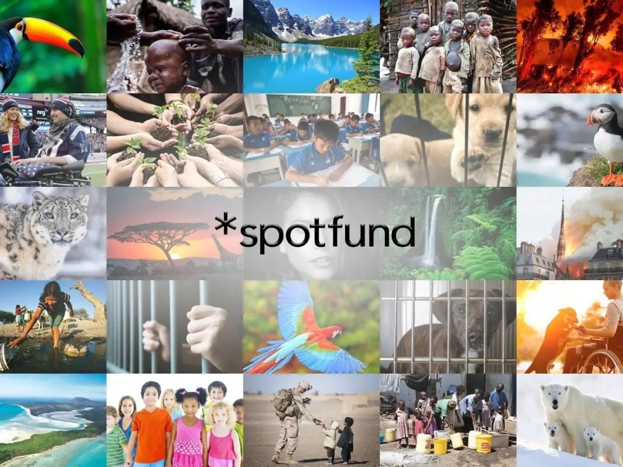 spotfund